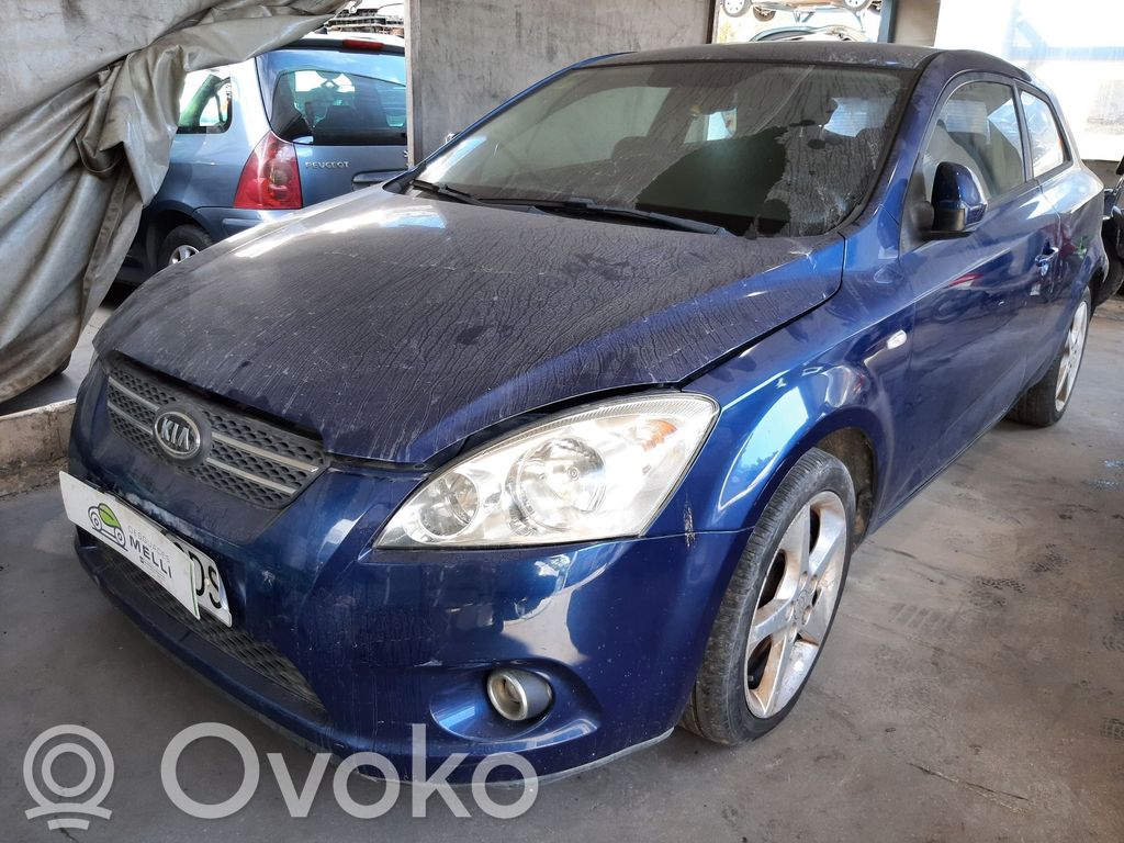Ceed Ceed, Ceed SW, Pro Ceed  517152H100