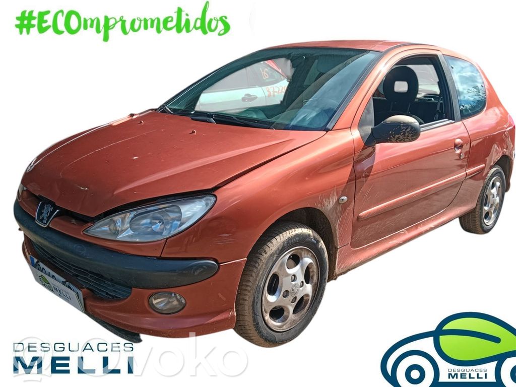 206+ 206, 206+  9631411580