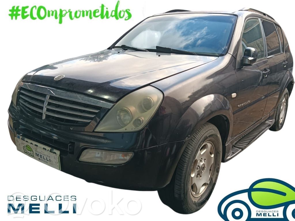 Rexton Rexton  4621008003