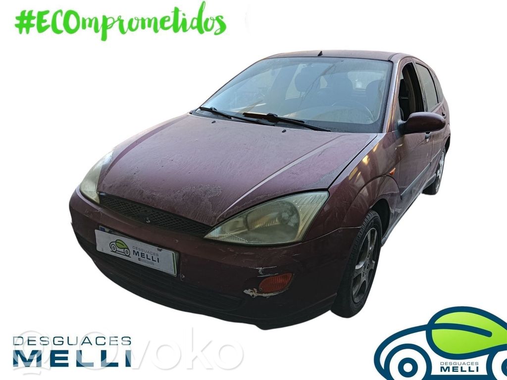 Focus Focus  4628835