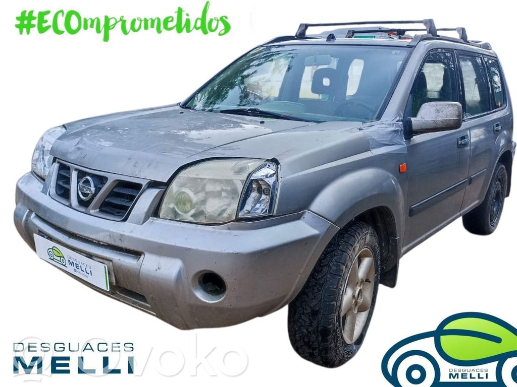 X-Trail T30 X-Trail  460108H910