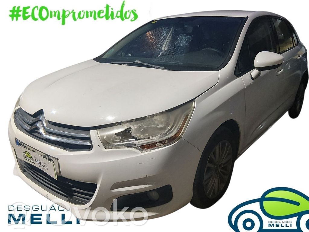 C4 I C4 Picasso, Grand Picasso, Aircross, Cactus  96748384XT