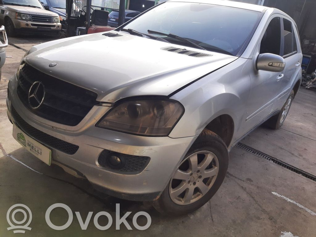 ML W164 ML-class, AMG (W163, W164, W166)  1645450908