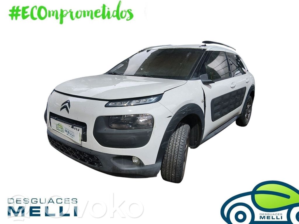 C4 Cactus C4 Picasso, Grand Picasso, Aircross, Cactus  9677476580