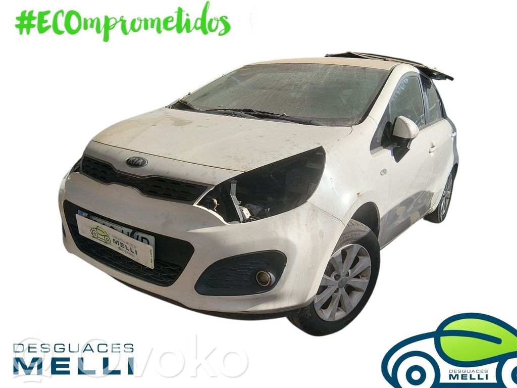 Rio Rio  847621W051
