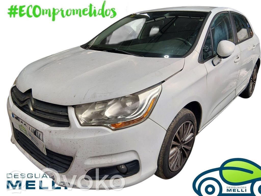 C4 I C4 Picasso, Grand Picasso, Aircross, Cactus  9684487210