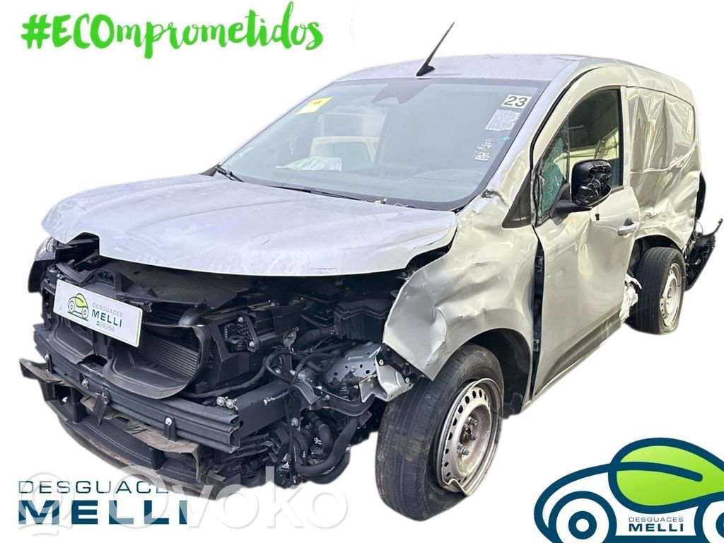 Kangoo III Kangoo  208995377R
