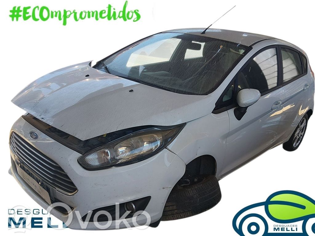 Fiesta Fiesta  CM5G12A366CA