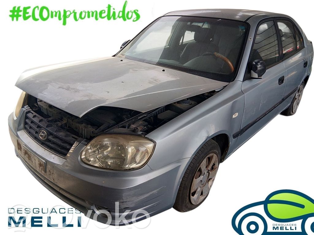 Accent Accent  9544025050