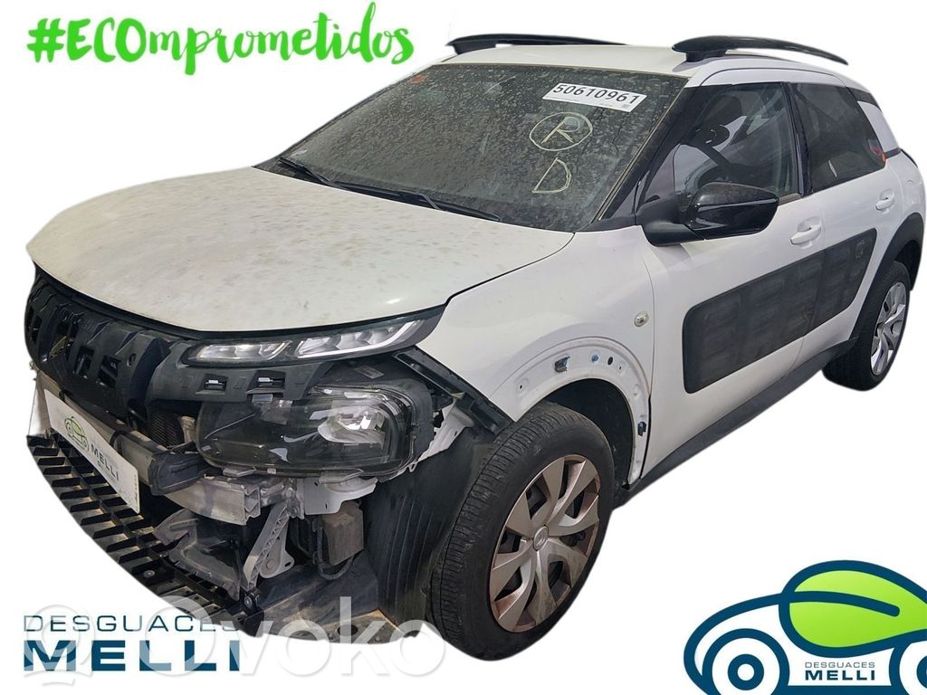 C4 Cactus C4 Picasso, Grand Picasso, Aircross, Cactus  98031272YC