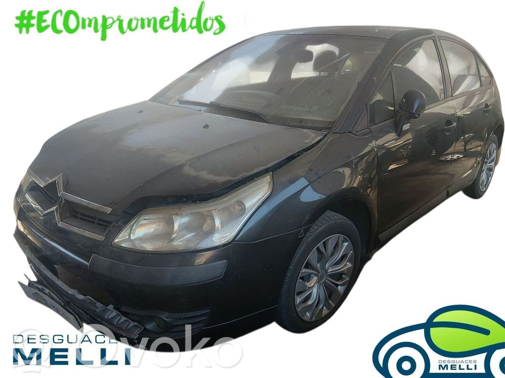 C4 I C4 Picasso, Grand Picasso, Aircross, Cactus  9659099180
