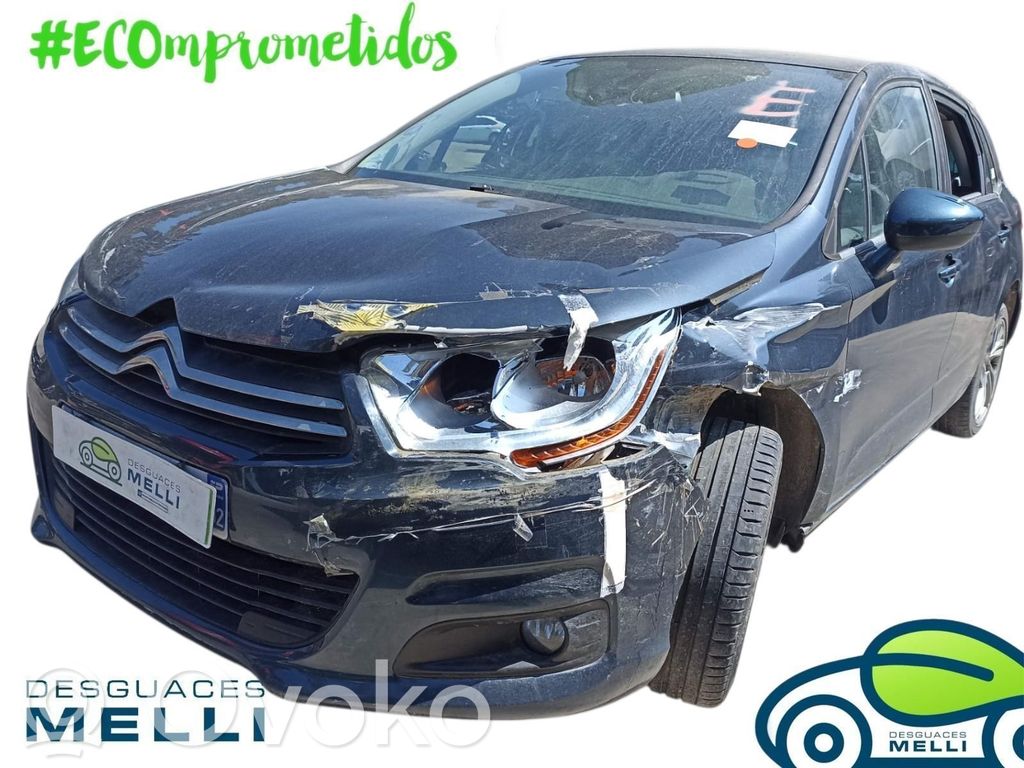 C4 I C4 Picasso, Grand Picasso, Aircross, Cactus  96874780ZD