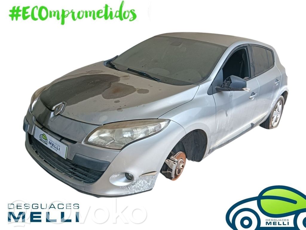Megane III Megane  555019103R