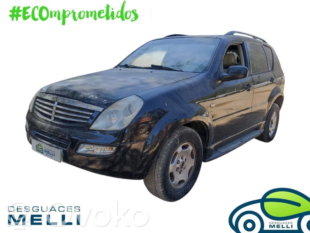 Rexton Rexton  8022008212