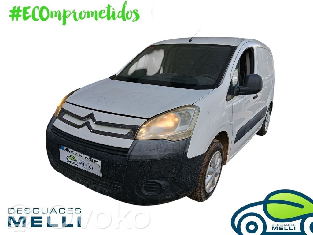 Berlingo Berlingo  9684941780