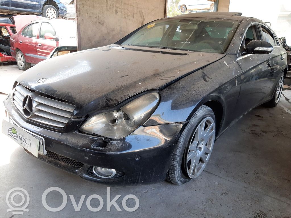 CLS C219 CLS-class, AMG (W219,C218/X218)  0024202483