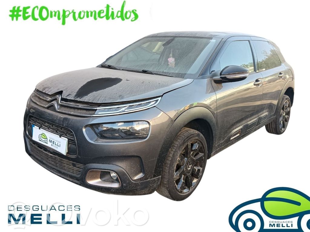 C4 Cactus C4 Picasso, Grand Picasso, Aircross, Cactus  9821336680