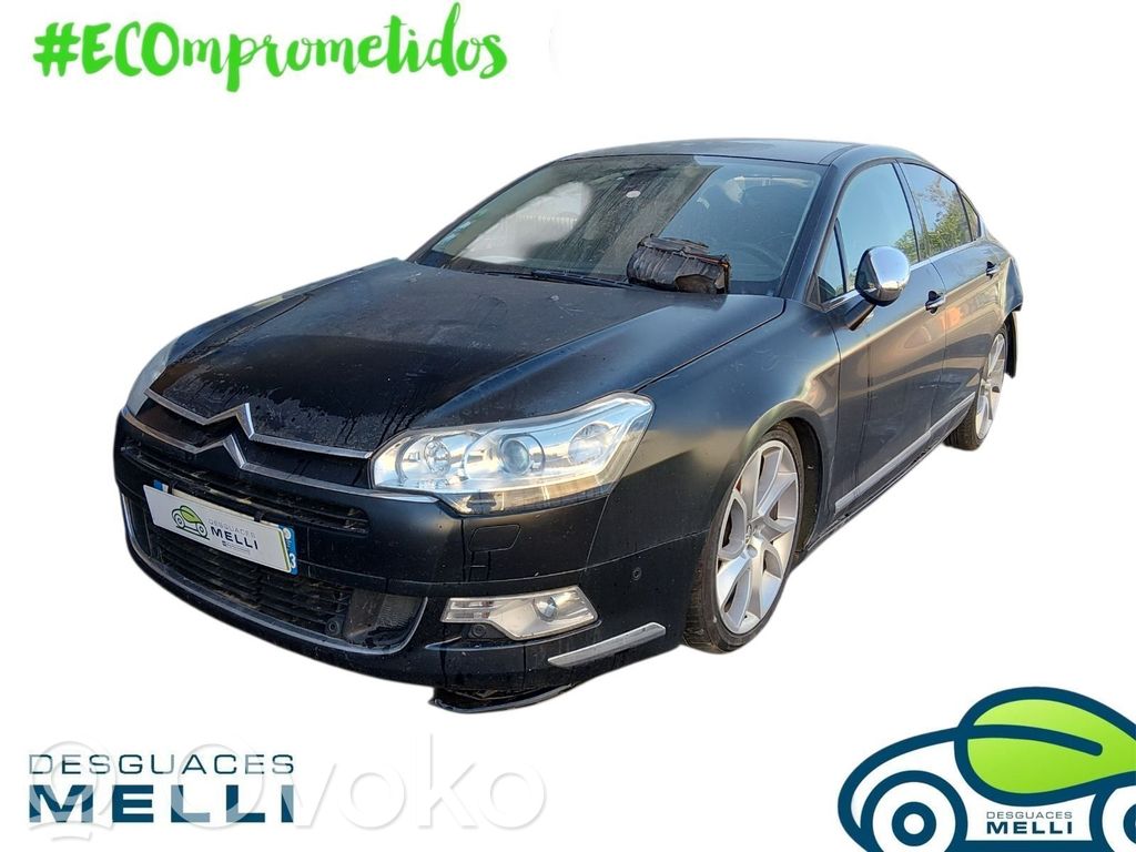 C5 C5, C5 Aircross  9674399580