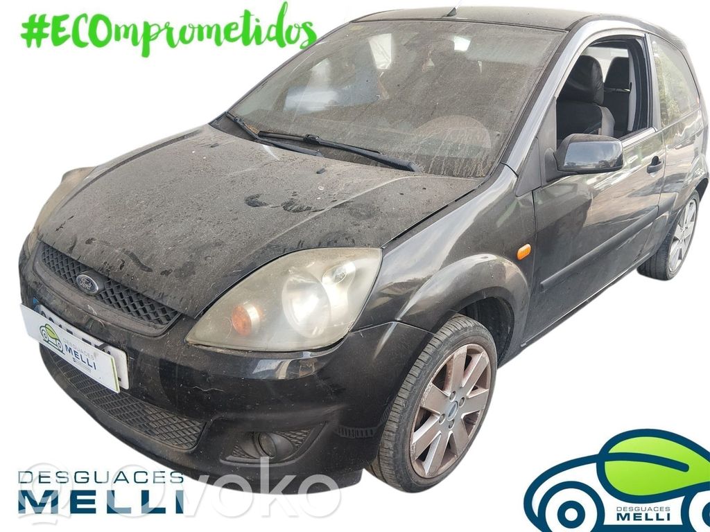 Fiesta Fiesta  1329534