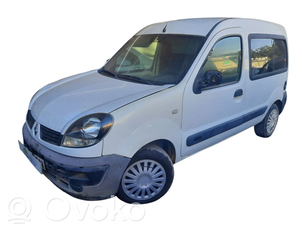 Kangoo I Kangoo  54359700011