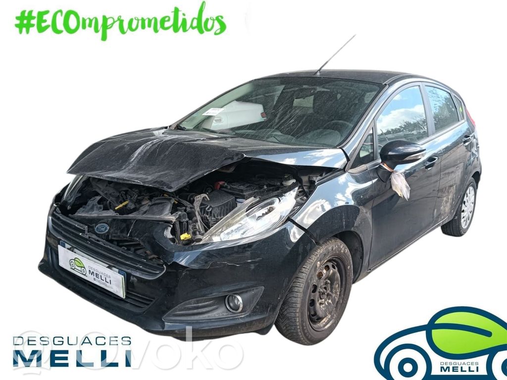 Fiesta Fiesta  C1BBA22601E