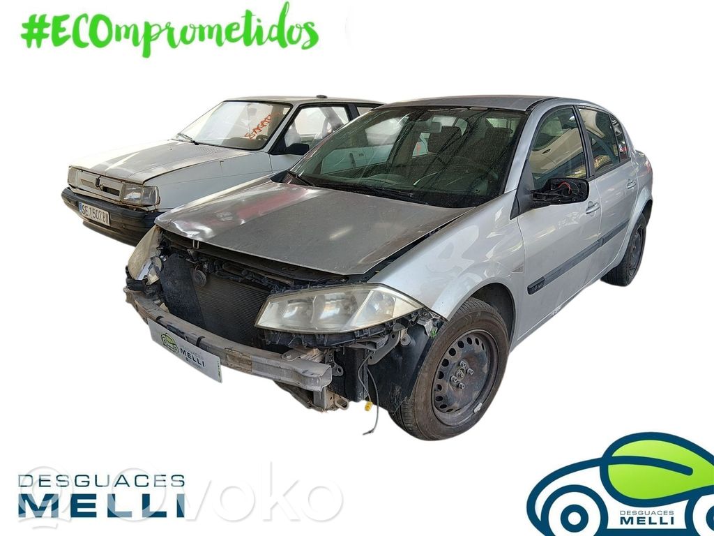 Megane II Megane  8200246631B