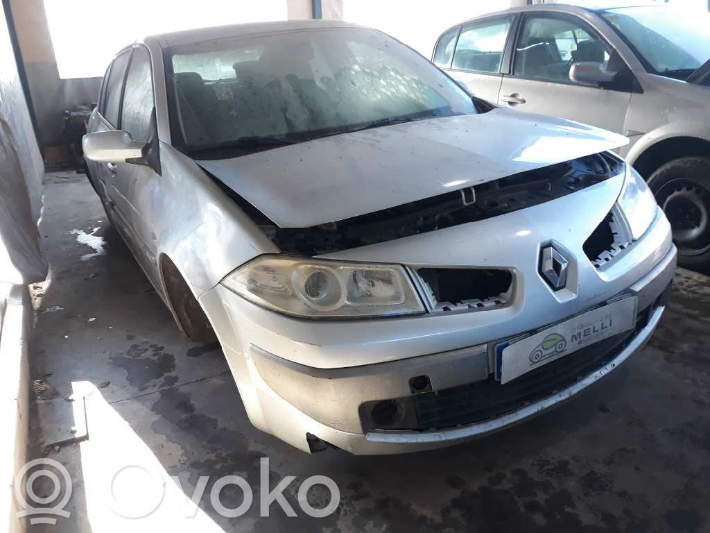 Megane II Megane  8200399569