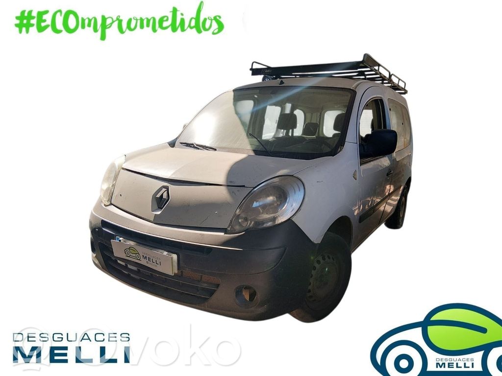 Kangoo II Kangoo  255405605R