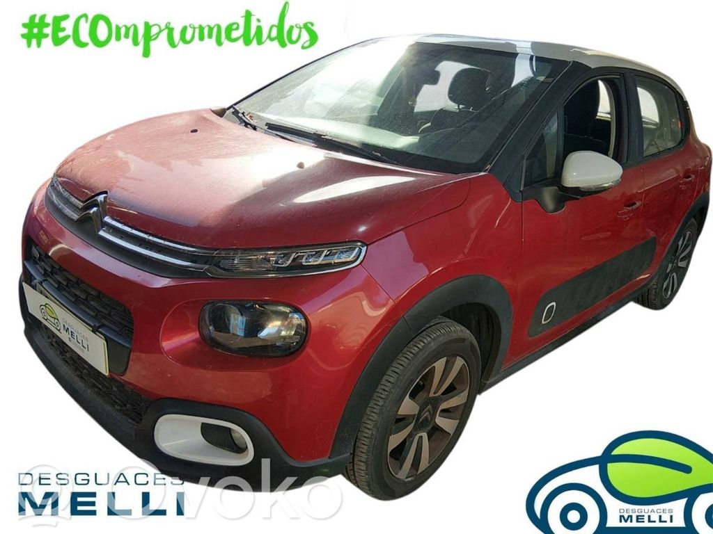 C3 C3, Pluriel, Picasso  9824997280