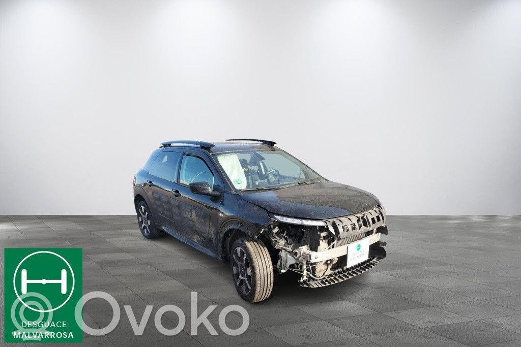 C4 Cactus C4 Picasso, Grand Picasso, Aircross, Cactus  1611428480