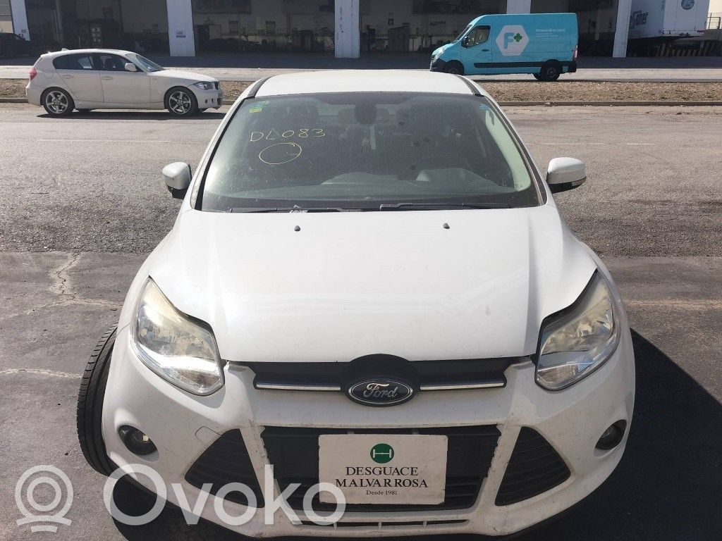 Focus Focus  2443670
