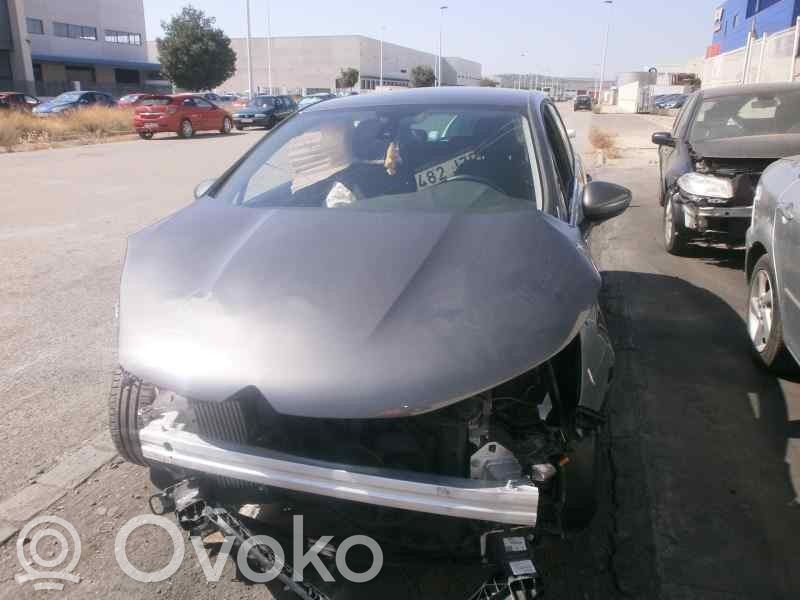 C4 Cactus C4 Picasso, Grand Picasso, Aircross, Cactus  8154SA