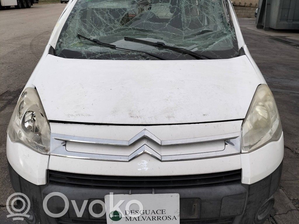 Berlingo Berlingo  4601V8