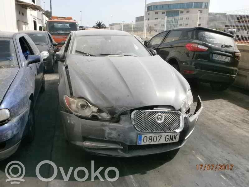 XF X250 XF  C2Z4249