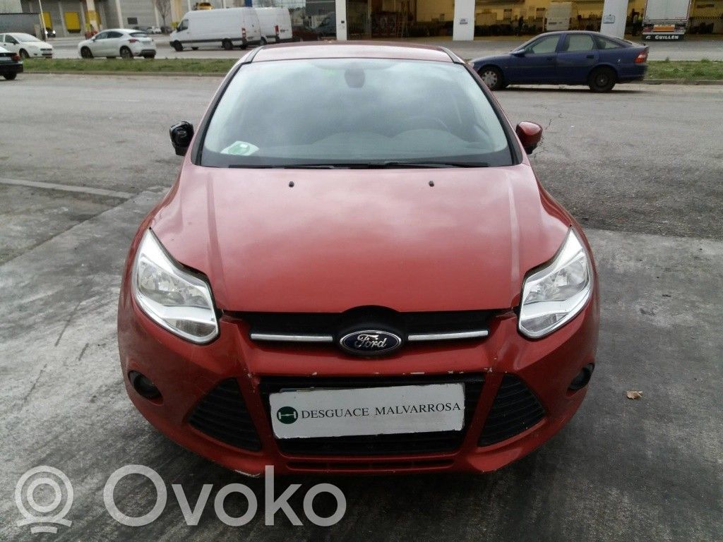 Focus Focus  1752736