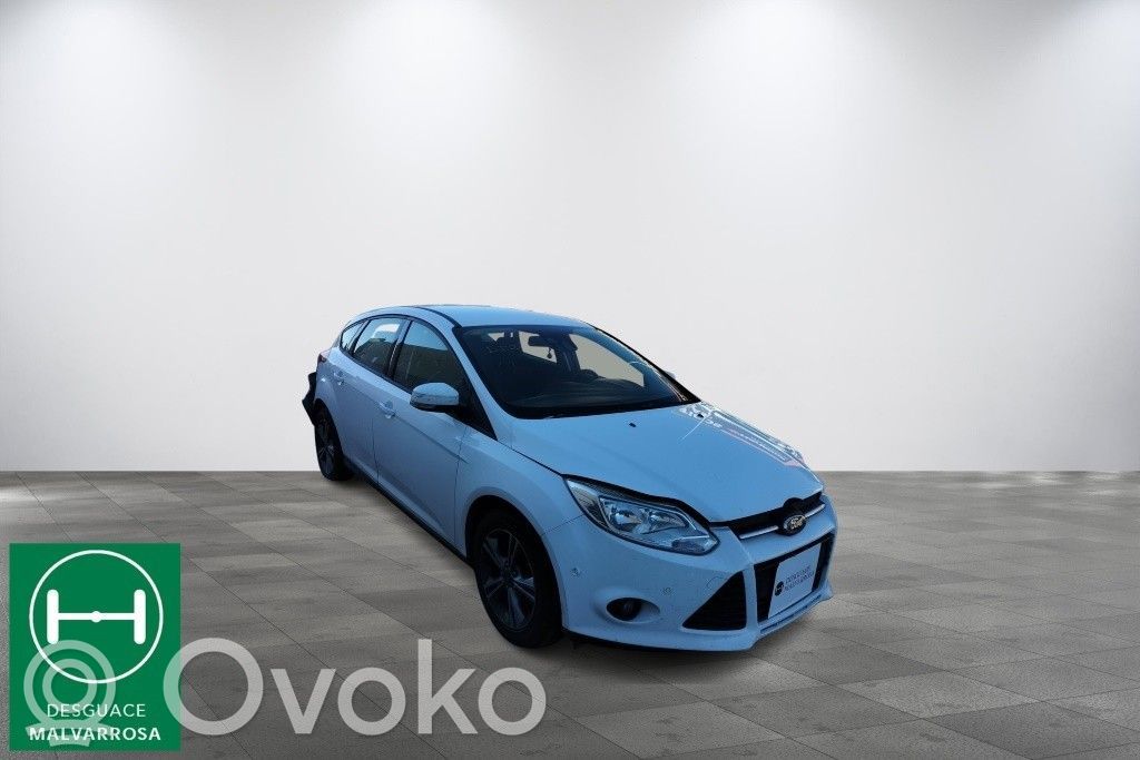 Focus Focus  1681167