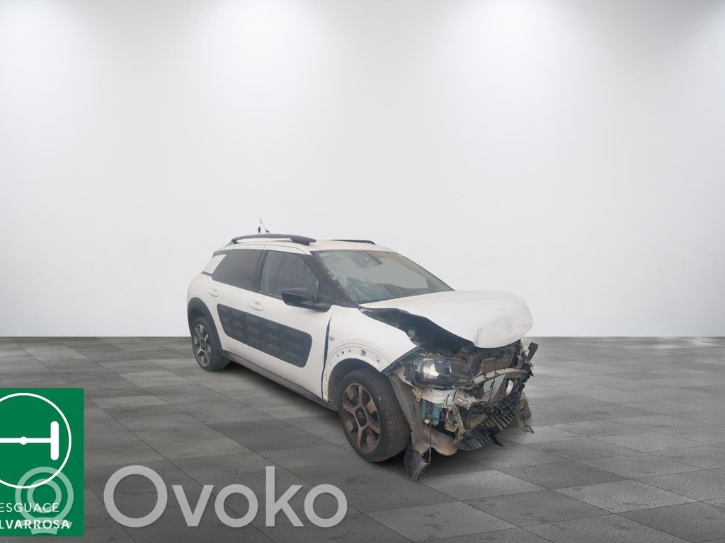 C4 Cactus C4 Picasso, Grand Picasso, Aircross, Cactus  9818677980