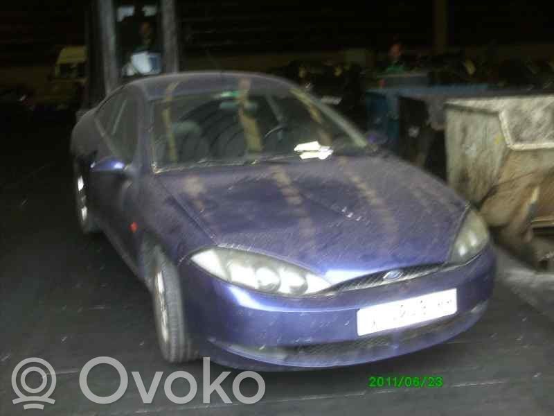 Cougar Cougar  1122591
