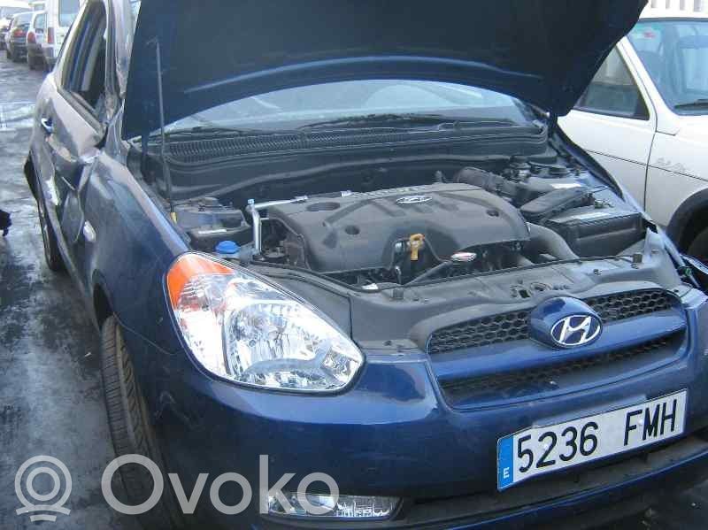 Accent Accent  954001E321