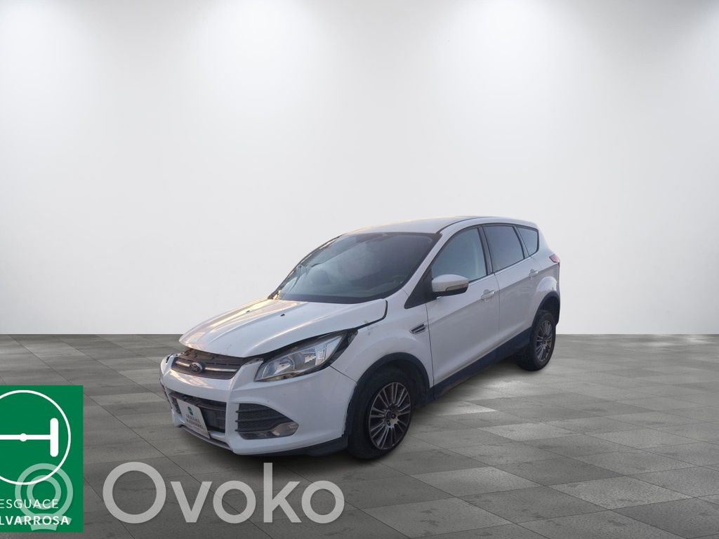 Kuga II Kuga  1740094