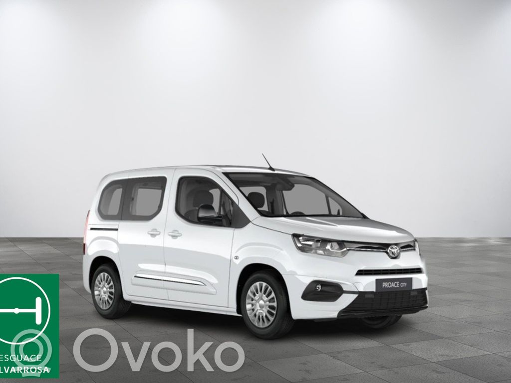 Proace ProAce