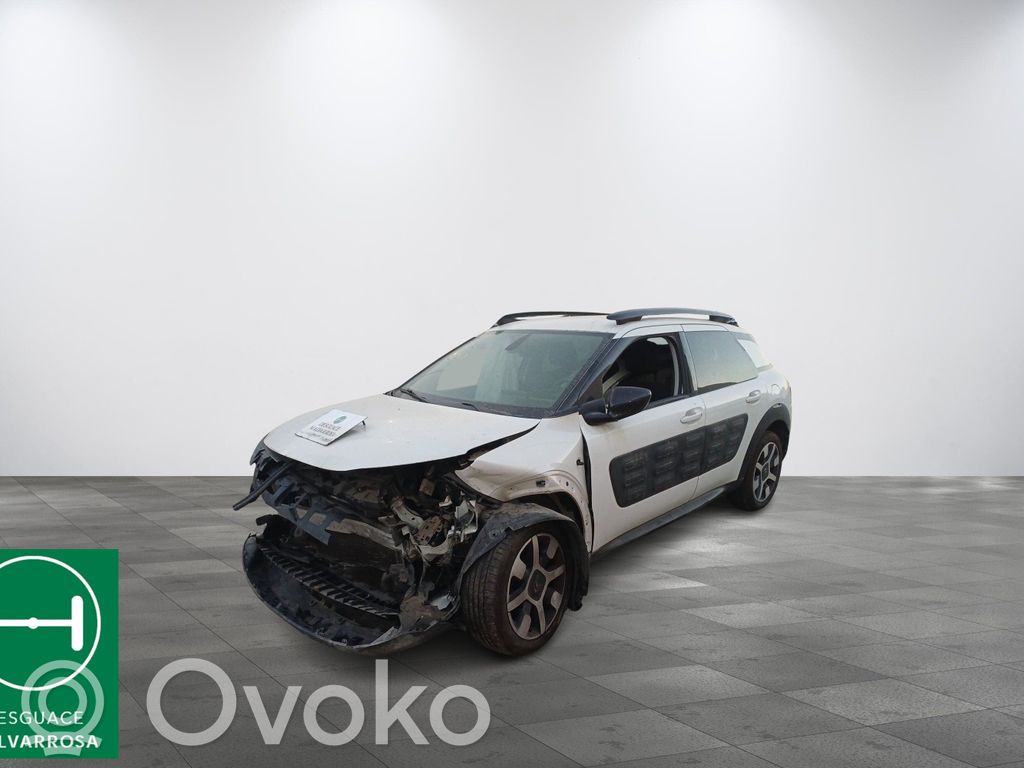 C4 Cactus C4 Picasso, Grand Picasso, Aircross, Cactus