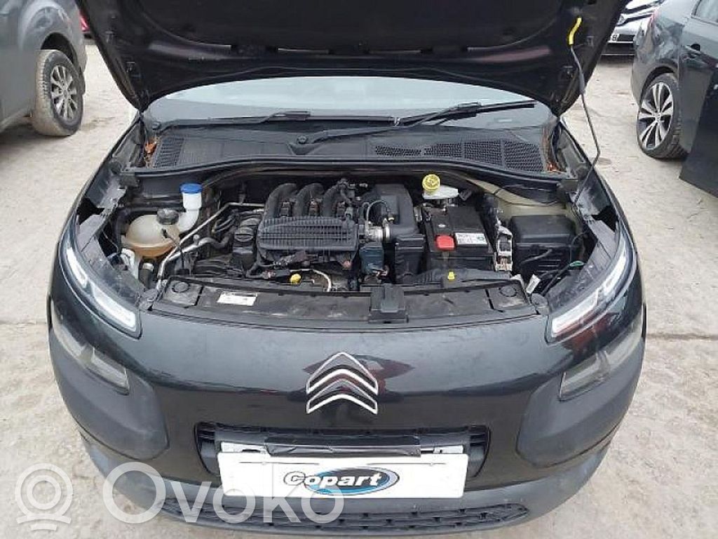 C4 Cactus C4 Picasso, Grand Picasso, Aircross, Cactus
