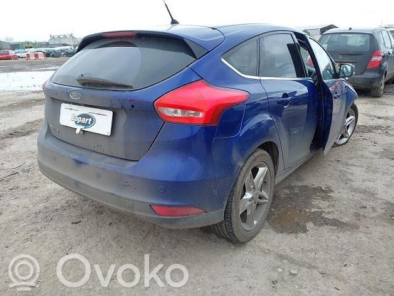 Focus Focus  124070610