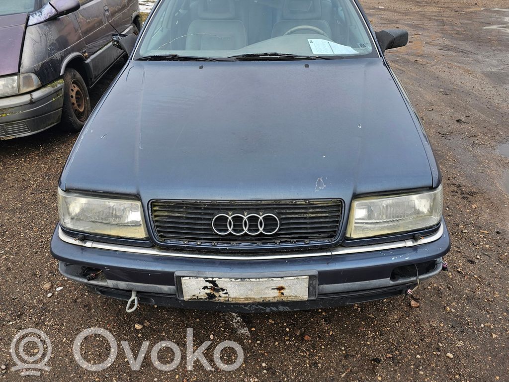 V8 V8
