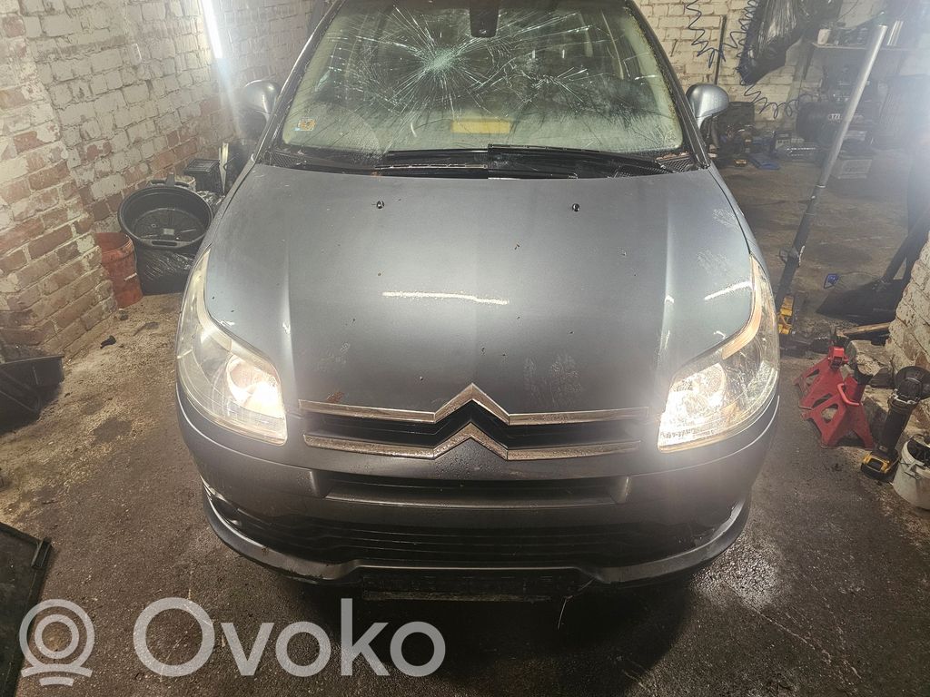C4 I C4 Picasso, Grand Picasso, Aircross, Cactus  D6RA110