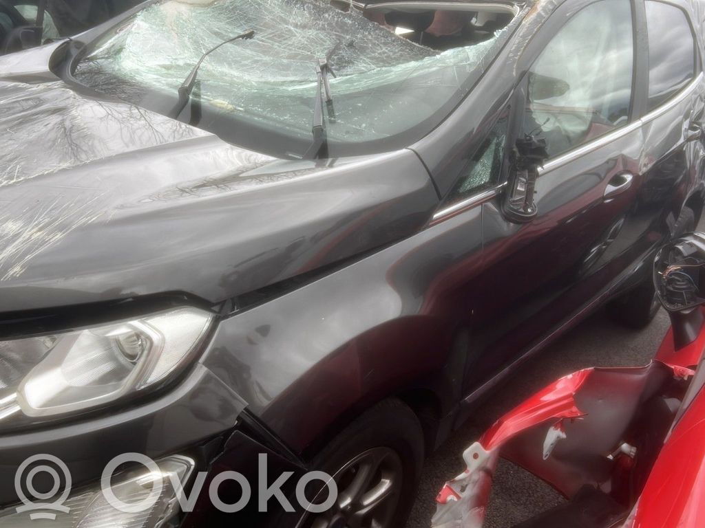 Ecosport Ecosport  2105337