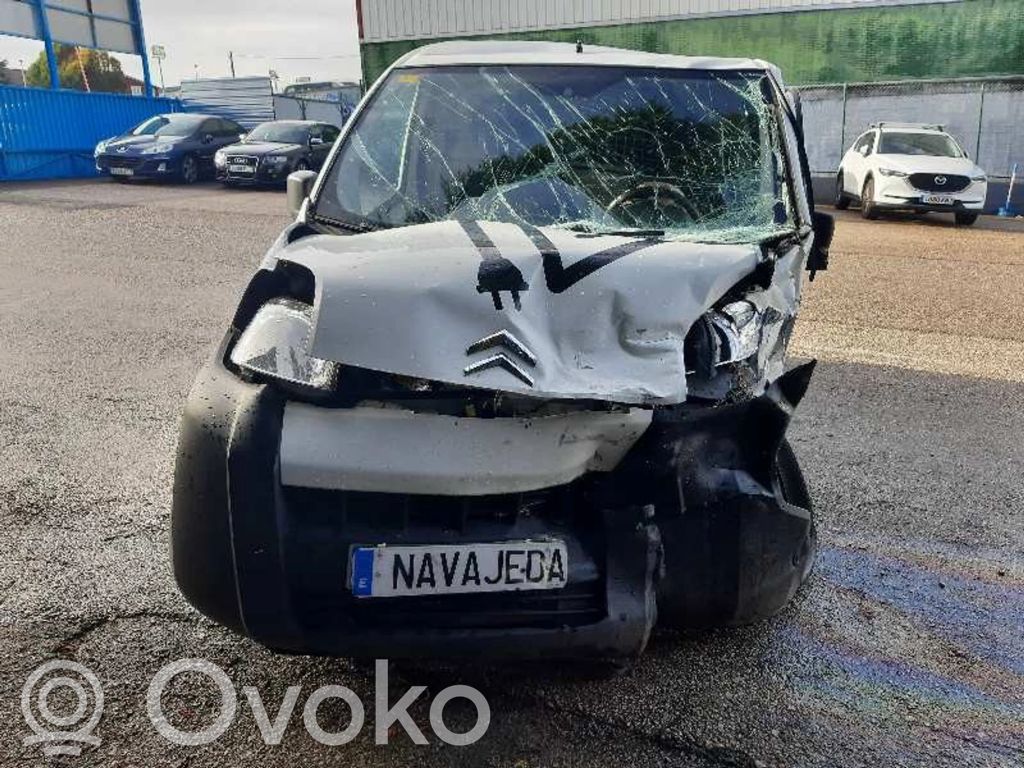 Nemo Nemo  52062443