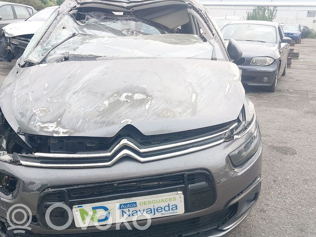 C4 Cactus C4 Picasso, Grand Picasso, Aircross, Cactus  9824678280