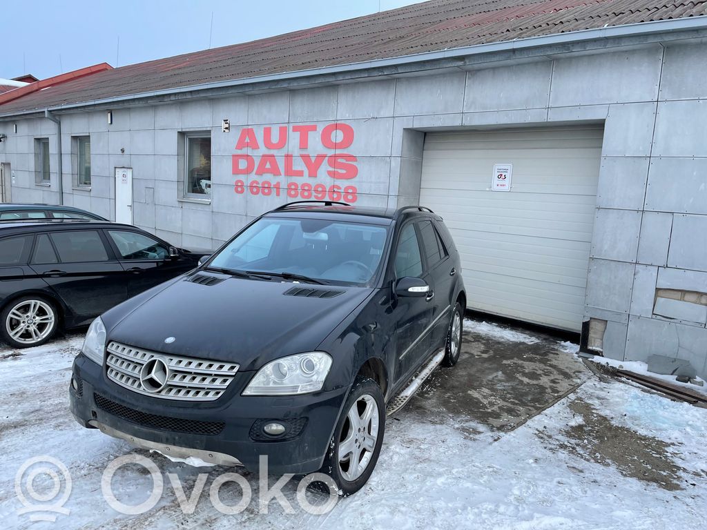 ML W164 ML-class, AMG (W163, W164, W166)  A1648202502